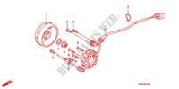 LINKS KRUKAS AFDEKKING/ GENERATOR(2) voor Honda CRF 450 R 2011