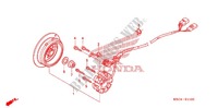LINKS KRUKAS AFDEKKING/ GENERATOR(2) voor Honda CRF 250 X 2012