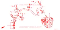 GAS HUIS voor Honda SH 125 TOP CASE BRONZE 6F 2012
