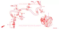 GAS HUIS voor Honda SH 125 TOP BOX BRONZE 7ED 2012