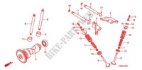 NOKKENAS/KLEP voor Honda TRX 250 FOURTRAX RECON Standard 2012