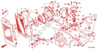 RADIATOR (VT750C2B/C2S/CS/C/CA) voor Honda SHADOW VT 750 AERO ABS 2012