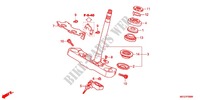 STURING STANG/BOVENSTE BRUG (VT750C2B/CS/C/CA) voor Honda SHADOW VT 750 AERO ABS 2012