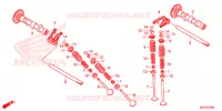 NOKKENAS/KLEP voor Honda CB 500 X ABS 2013