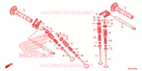 NOKKENAS/KLEP voor Honda CBR 500 R ABS HRC TRICOLOR 2014