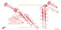 NOKKENAS/KLEP voor Honda CBR 500 R ABS 2014