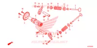 NOKKENAS/KLEP voor Honda SH 125 ABS D SPECIAL 3F 2013