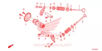 NOKKENAS/KLEP voor Honda SH 125 SPECIAL 3ED 2013
