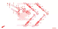 NOKKENAS/KLEP voor Honda SH 300 2013