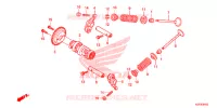 NOKKENAS/KLEP voor Honda SH 150 ABS D SPECIAL 3ED 2013