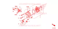 WATERPOMP voor Honda SH 150 ABS D SPECIAL 3ED 2013