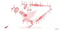 NOKKENAS/KLEP voor Honda SH 150 ABS D SPECIAL 5ED 2013