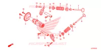 NOKKENAS/KLEP voor Honda SH 150 D 2013