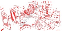 RADIATOR (VT750C/C2S/CA/CS) voor Honda SHADOW VT 750 AERO ABS GRAY 2013