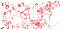 BEDRADINGSBUNDEL/ACCU voor Honda SH 150 D SPECIAL 5ED 2014