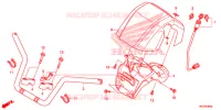 HENDEL PIJP voor Honda FOURTRAX 420 RANCHER 2X4 BASE 2014