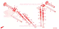 NOKKENAS/KLEP voor Honda CB 500 X 2015