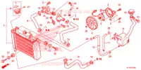 RADIATOR voor Honda CBR 125 REPSOL 2015