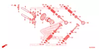 NOKKENAS/KLEP voor Honda SH 300 I ABS SPECIAL 4ED 2015