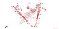 NOKKENAS/KLEP voor Honda CBF 125 2012