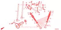 NOKKENAS/KLEP voor Honda FOURTRAX 500 FOREMAN RUBICON DCT 2016