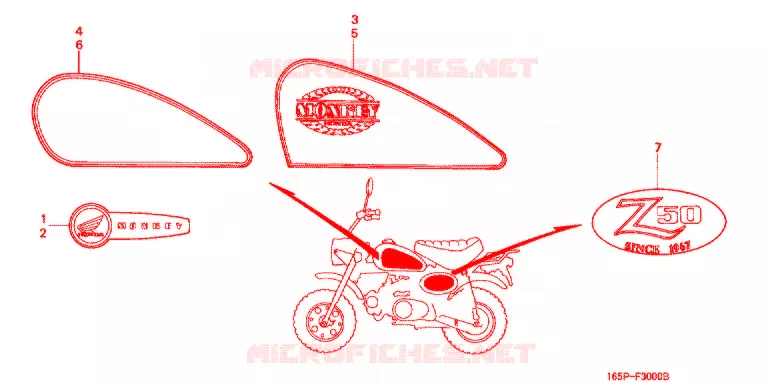 EMBLEEM/STREEP (Z50JP/S/Y-7J) Honda MOTO 50 MONKEY 2000  Z50JY_M