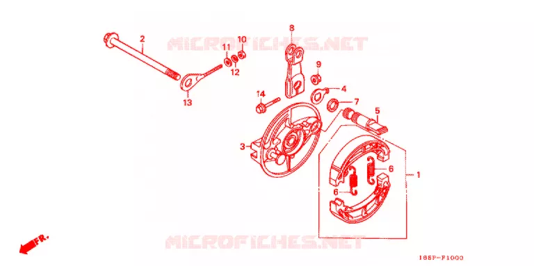 ACHTER REM PANEEL Honda MOTO 50 MONKEY 2001  Z50J1_M