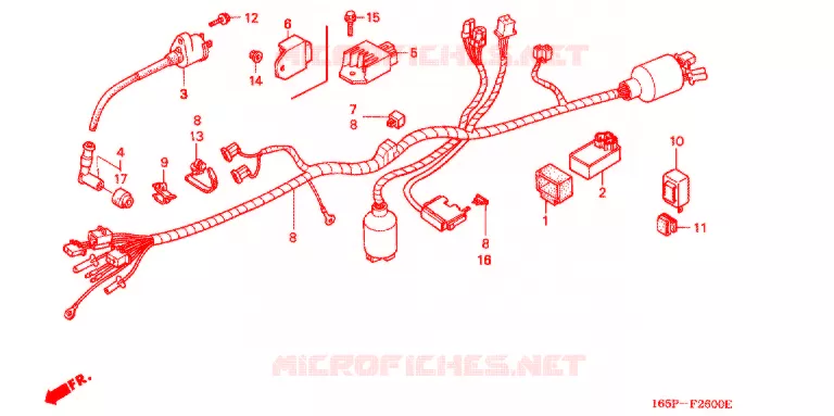 BEDRADINGSBUNDEL/ACCU Honda MOTO 50 MONKEY 2001  Z50J1_M