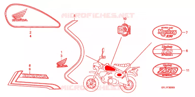 EMBLEEM/STREEP (Z50J4,5) Honda MOTO 50 MONKEY 2004  Z50J4_M