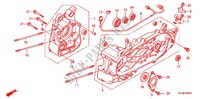 KRUKASCARTER (FES1253 5) (FES1503 5) voor Honda PANTHEON 150 FES 2003