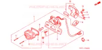 ACHTERLICHT/KENTEKEN LICHT voor Honda APE 50 2002