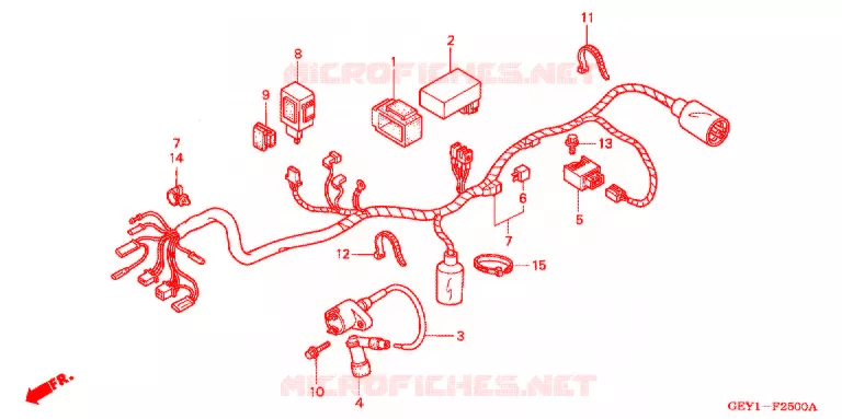 BEDRADINGSBUNDEL/ACCU Honda MOTO 100 APE 2004  XZ1004
