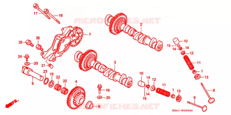 NOKKENAS/KLEP Honda MOTO 250 HORNET 2001  CB250F1