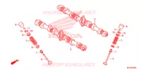 NOKKENAS/KLEP voor Honda CB 1100 ABS RED 2013