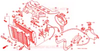 RADIATOR voor Honda CBR 250 RR 1995