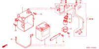 BEDRADINGSBUNDEL/ACCU voor Honda CBX 250 TWISTER 2001