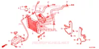 RADIATOR voor Honda S WING 125 ABS E 2012