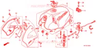 BRANDSTOF TANK voor Honda CBX 250 TWISTER 2004