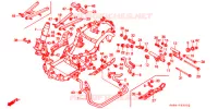 FRAME CHASSIS voor Honda CH 250 ELITE 1989