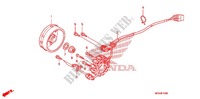 LINKS KRUKAS AFDEKKING/ GENERATOR(2) voor Honda CRF 450 R 2010