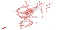 CILINDER voor Honda CRF 450 X 2013