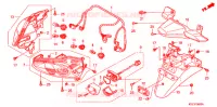 ACHTER COMBINATIE LICHT/ACHTER STROOMLIJNKAP voor Honda FORZA 250 Z ABS AUDIO 2008