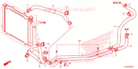 WATERSLANG voor Honda PIONEER 1000 M5P 2016