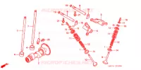 NOKKENAS/KLEP voor Honda FOURTRAX 400 RANCHER AT 2006