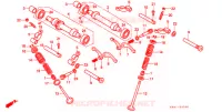 NOKKENAS/KLEP voor Honda CBX 125 1987