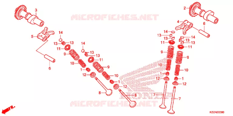 NOKKENAS/KLEP Honda MOTO 250 CRF 2017  CRF250LAH