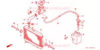 RADIATOR voor Honda NSR 80 1988