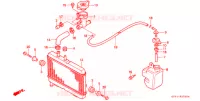 RADIATOR voor Honda NSR 80 1991