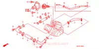 WATERSLANG voor Honda 125 VARADERO LIMITED 2005