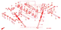 NOKKENAS/KLEP voor Honda XR 250 DIRT BIKE 2007